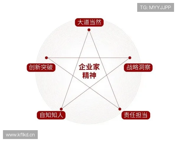 创新驱动企业家精神引领未来高质量可持续发展战略路径系统探评析